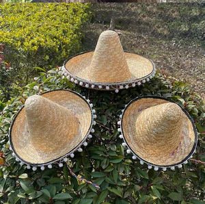 Drie authentieke Mexicaanse strooien feesthoeden met witte pompons op een groene struik