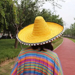 Rear view of a yellow Mexican straw sombrero with white pom-pom trim in a park setting