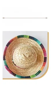 Mexican style pet straw hat with colorful brim for cats and dogs photography props