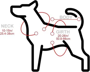 Guía detallada de medidas para poncho festivo de mascotas con cuello y circunferencia