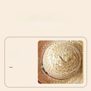Macro view of miniature woven straw hat detail for pet costumes and accessories