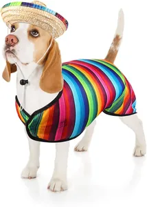 Cane Beagle che indossa un poncho serape messicano colorato e un set di cappello sombrero.