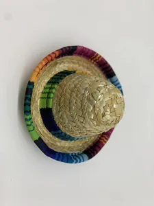 Detailed top view showing the woven straw texture and colorful trim of a mini pet sombrero hat