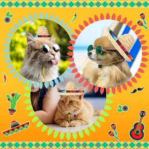 Mini mexikanischer Strohhut Sombrero für Katzen und kleine Hunde Festliches Haustierkostüm