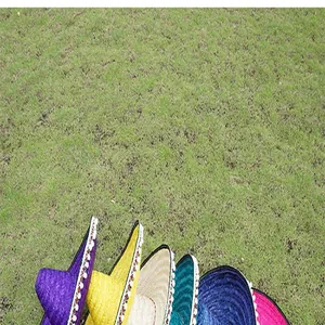 A colorful row of traditional Mexican straw sombreros with pom-pom trim on a green lawn