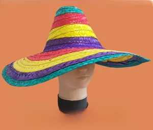 Chapeau de paille sombrero mexicain arc-en-ciel vibrant exposé sur une tête de mannequin