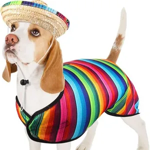 Set costume messicano con poncho colorato e cappello di paglia per cani piccoli