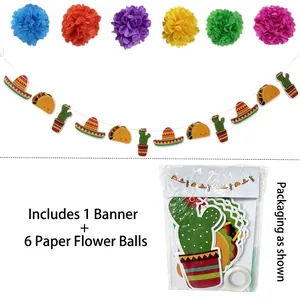 Detailed view of Mexican party kit including banner and six colorful paper pom poms