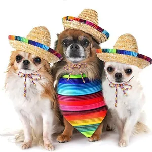 Mexican colorful straw pet sombrero hat and rainbow bandana set for dogs and cats