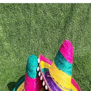 Detail view of colorful Mexican sombreros with white pom poms on a green grass background.