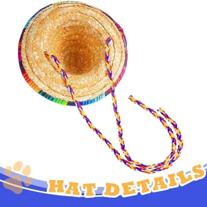Mexican style straw hat for pets with colorful braided strap for lizards and cats