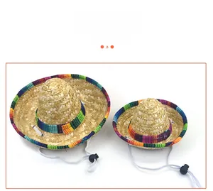 Close-up detail of two mini Mexican pet straw hats with vibrant rainbow edge trims.