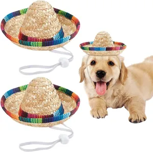 Dettaglio di un mini sombrero messicano per cuccioli con cinturino regolabile