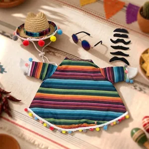 Mexican Serape poncho and sombrero set with colorful pom-poms for porch goose decor