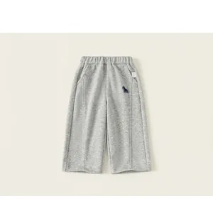 Vue détaillée d'un pantalon de survêtement gris pour enfant avec un patch dinosaure.