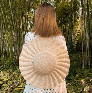 Vue arrière d'un chapeau de paille à larges bords avec plis coquillages pour l'été
