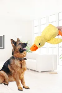 Schäferhund schaut auf quietschendes gelbes Enten-Plüschtier im Wohnzimmer