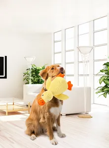 Großer goldener Hund mit einem gelben Plüschente-Quietschspielzeug im hellen Wohnzimmer