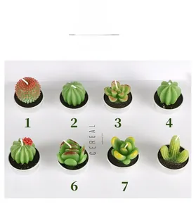 Eight different styles of realistic succulent and cactus shaped candles in metal tins