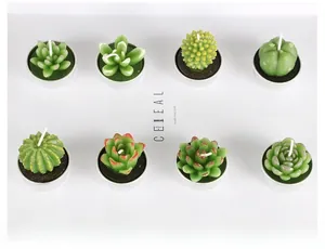 Detailed view of eight simulation succulent plant candles numbered 17 to 24 on white background