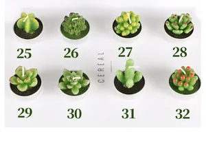 Vue détaillée de bougies chauffe-plat en forme de succulentes numérotées de 25 à 32