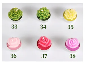 Vue détaillée de six bougies chauffe-plat décoratives en forme de succulente et de rose.