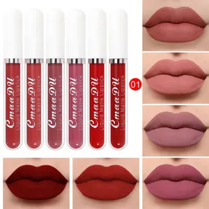 Detailed view of CmaaDu 6-piece matte liquid lipstick set with various lip swatches