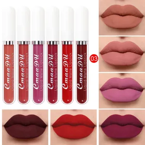 Detailed view of CmaaDu 6-piece matte liquid lipstick set showing various lip shades
