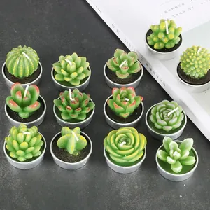 Lot de 12 bougies réalistes en forme de succulentes et de cactus en boîtes métalliques.