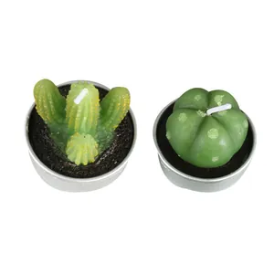 Bougies réalistes en cire de paraffine en forme de succulente et cactus en pots métal
