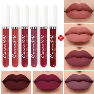 Detailed view of six liquid matte lipstick shades featuring realistic lip swatches samples.