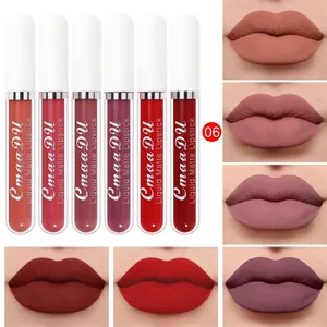 Detail macro view of 6-piece CmaaDu matte liquid lipstick set and various lip swatches