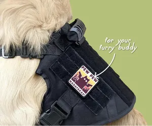 Detailed close-up of a black morale patch with a cat and 'PEW PEW' text on a pet harness.
