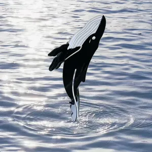 Pinza per capelli a balena creativa che salta dalla superficie dell'acqua dettagli