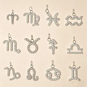 Zilveren sterrenbeeld hangers met heldere kristallen in een complete verzameling