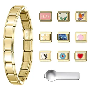 Gold stainless steel Italian modular charm bracelet set with DIY charms and tool