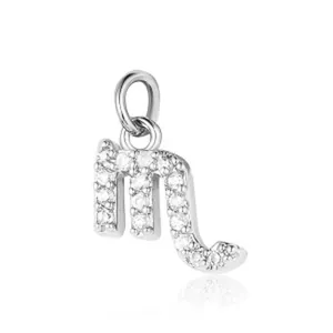 Elegante Schorpioen sterrenbeeld hanger van zilverkleurig titanium staal met glanzende stenen