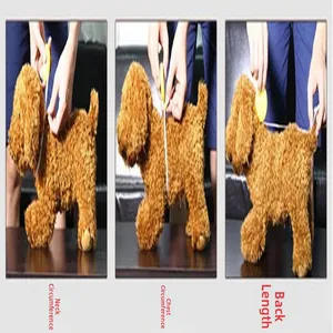 Guide showing how to measure pet neck, chest, and back length for dog sweaters.