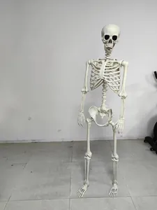 Modello di scheletro umano snodabile a grandezza naturale per decorazioni horror di Halloween