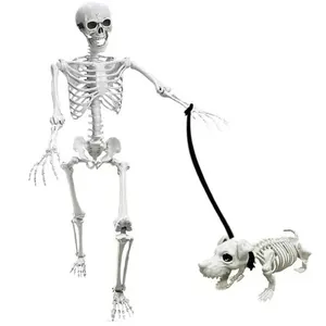 Set di scheletro umano e cane scheletro di Halloween articolato per decorazioni spaventose