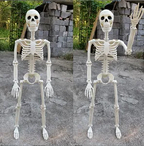 Vista dettagliata dello scheletro di Halloween con articolazioni regolabili decorazione