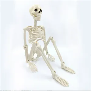 Vista dettagliata dello scheletro umano con articolazioni regolabili per Halloween