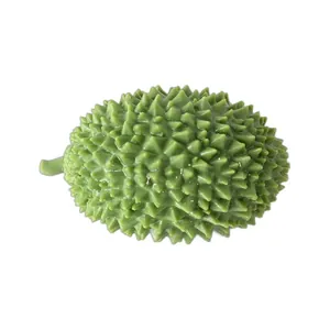 Detailed macro view of a green simulation durian fruit stress relief squishy toy