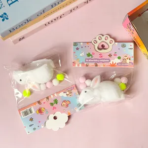 Vue détaillée des jouets anti-stress lapin blanc dans leur emballage cartonné coloré