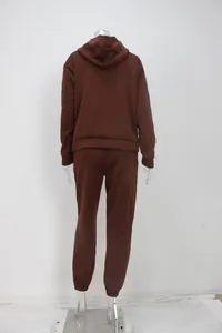 Back view of a casual brown two-piece hoodie and sweatpants set displayed on a mannequin