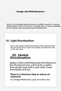 Guide complet d'entretien des bijoux en argent et instructions détaillées pour pendentifs