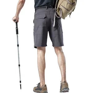 Men's quick-dry hiking shorts shown from back with trekking pole and backpack