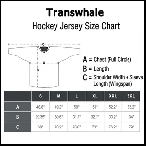 Detailed size chart for retro embroidered hockey jersey with measurements in inches