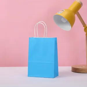 Minimalist blue kraft paper gift bag with white twisted handles on a pink background