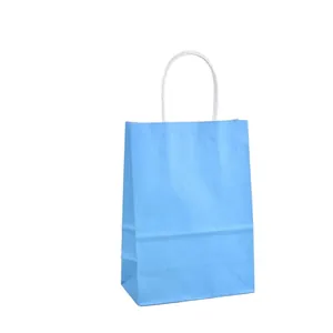 Professional light blue kraft paper gift bag with sturdy white handle for party favors and DIY